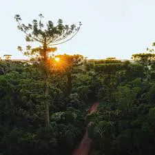 multimedia.miniatura.8d9b4094510d0426.bWluaWF0dXJhLndlYnA=