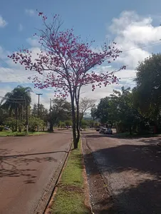 multimedia.miniatura.aac154a8892cf73d.bWluaWF0dXJhLndlYnA=
