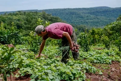 multimedia.miniatura.addf27469b20c5dd.bWluaWF0dXJhLndlYnA=