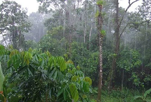 multimedia.miniatura.b64453d6110ccadc.636c696d6173315f6d696e6961747572612e6a7067