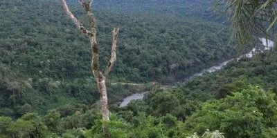 multimedia.miniatura.9ad3d002b4cfe4e3.bWluaWF0dXJhLndlYnA=