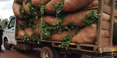 multimedia.miniatura.94e35fe9a34abad9.bWluaWF0dXJhLndlYnA=