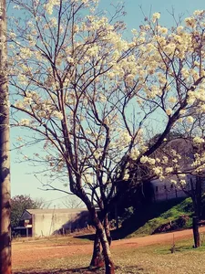 multimedia.miniatura.889f5e70af44f5df.bWluaWF0dXJhLndlYnA=