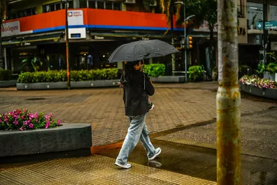 multimedia.miniatura.a1e391abda040ae4.bWluaWF0dXJhLndlYnA=