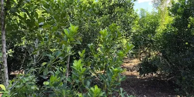 multimedia.miniatura.ab0e96b1c3881fc7.bWluaWF0dXJhLndlYnA=