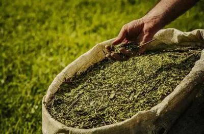 multimedia.miniatura.a2c34b8d19385706.WUVSQkFNQVRFLTY5Nng0NTlfbWluaWF0dXJhLmpwZWc=