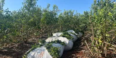 multimedia.miniatura.a5cadaa172a83c05.bWluaWF0dXJhLndlYnA=