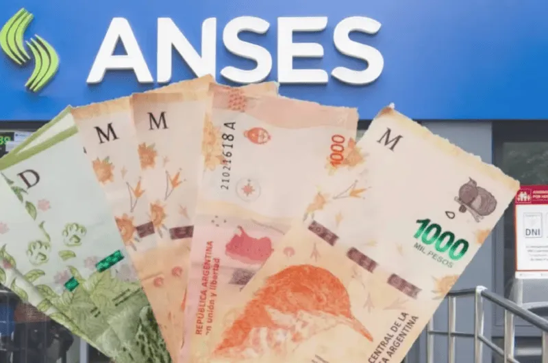 ansesx_bono_de_ayuda.png_156174472