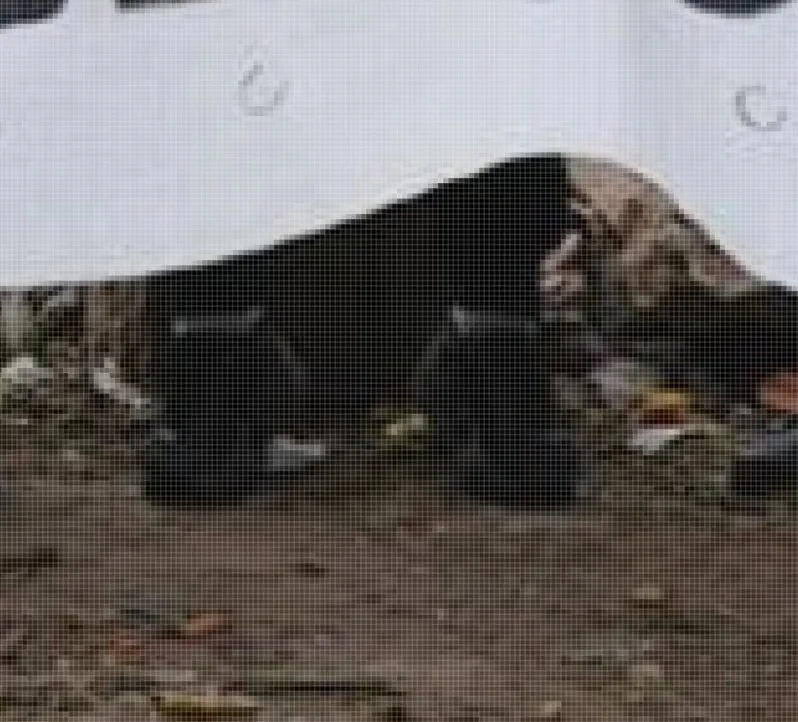 689517f04fbdb_798_722!