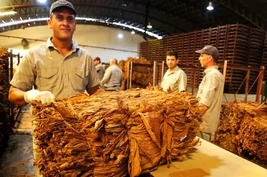 WhatsApp-Image-2025-11-15-at-12.25.15-1