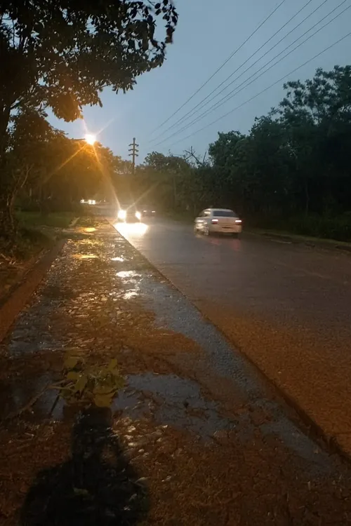 f93e79c3-2e94-4a34-b264-1ff4ff3e662a