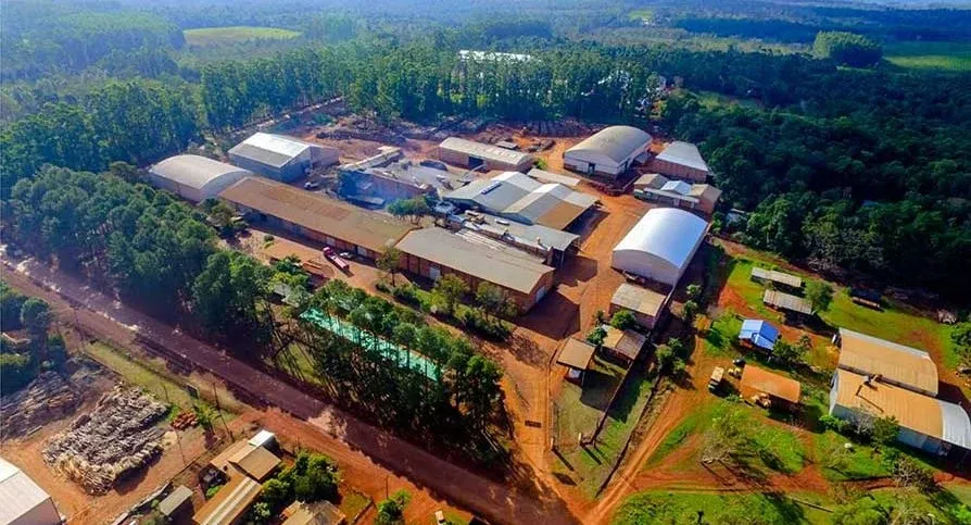 Cooperativa-Yerbatera-Andresito