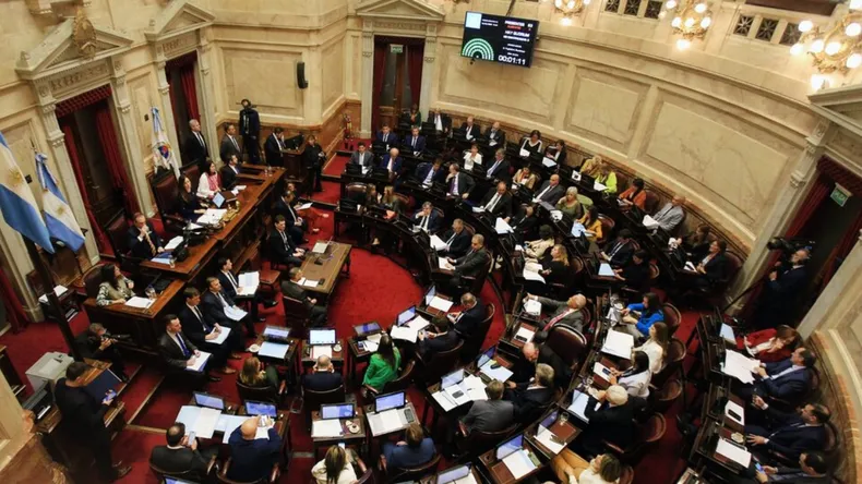 senado