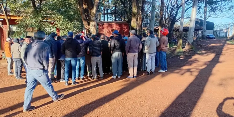 forestadora-tapebicua-2078328-750x375