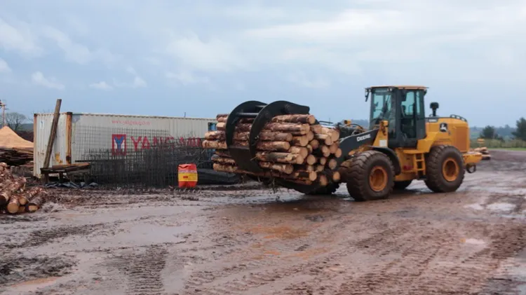 Forestal-las-marias-virasoro-corrientes-7