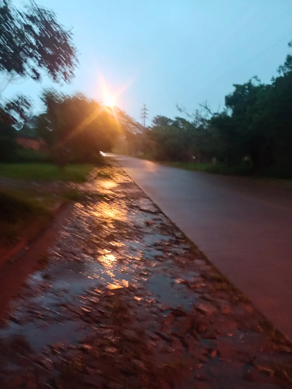 2c485d00-c13b-4167-b5c3-e9a39c743714