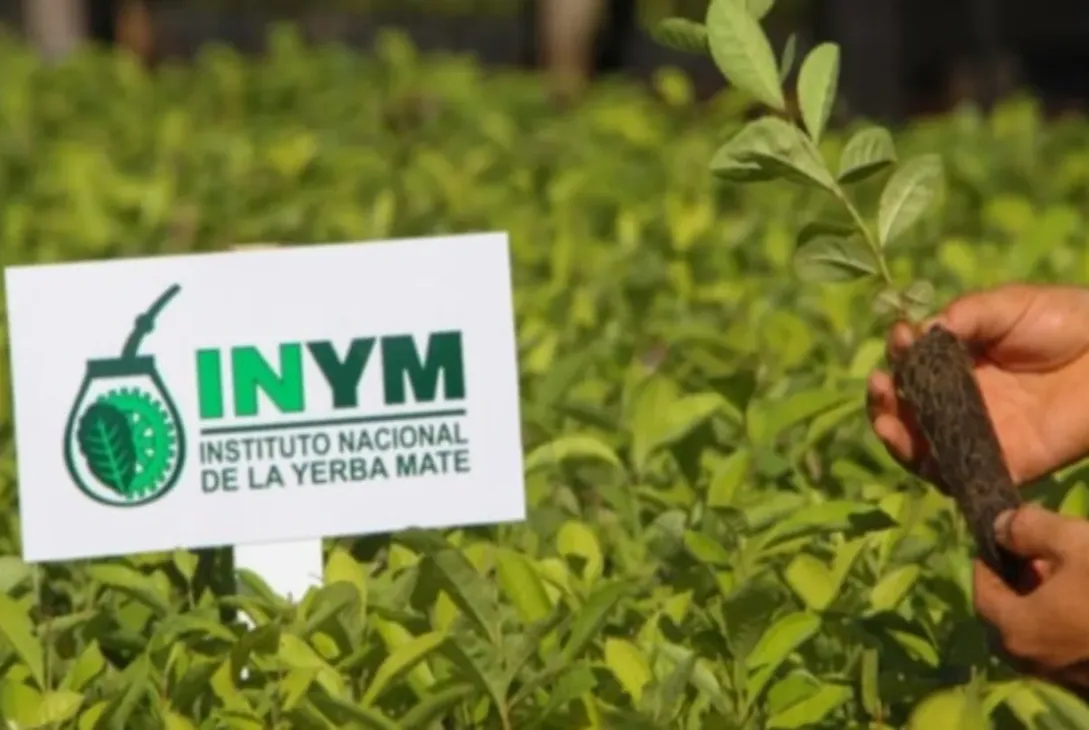 inym (1)