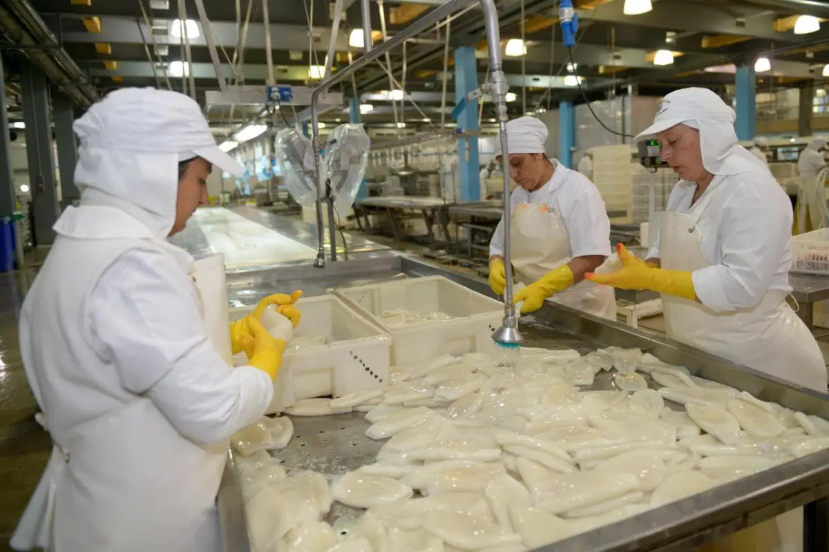 1200x800_captura-calamar-agricultura-1130632-124456